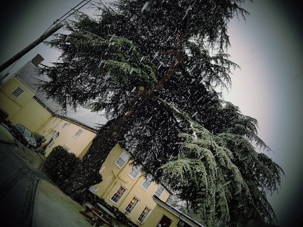 Best Western Cedars Hotel Stowmarket Exterior foto